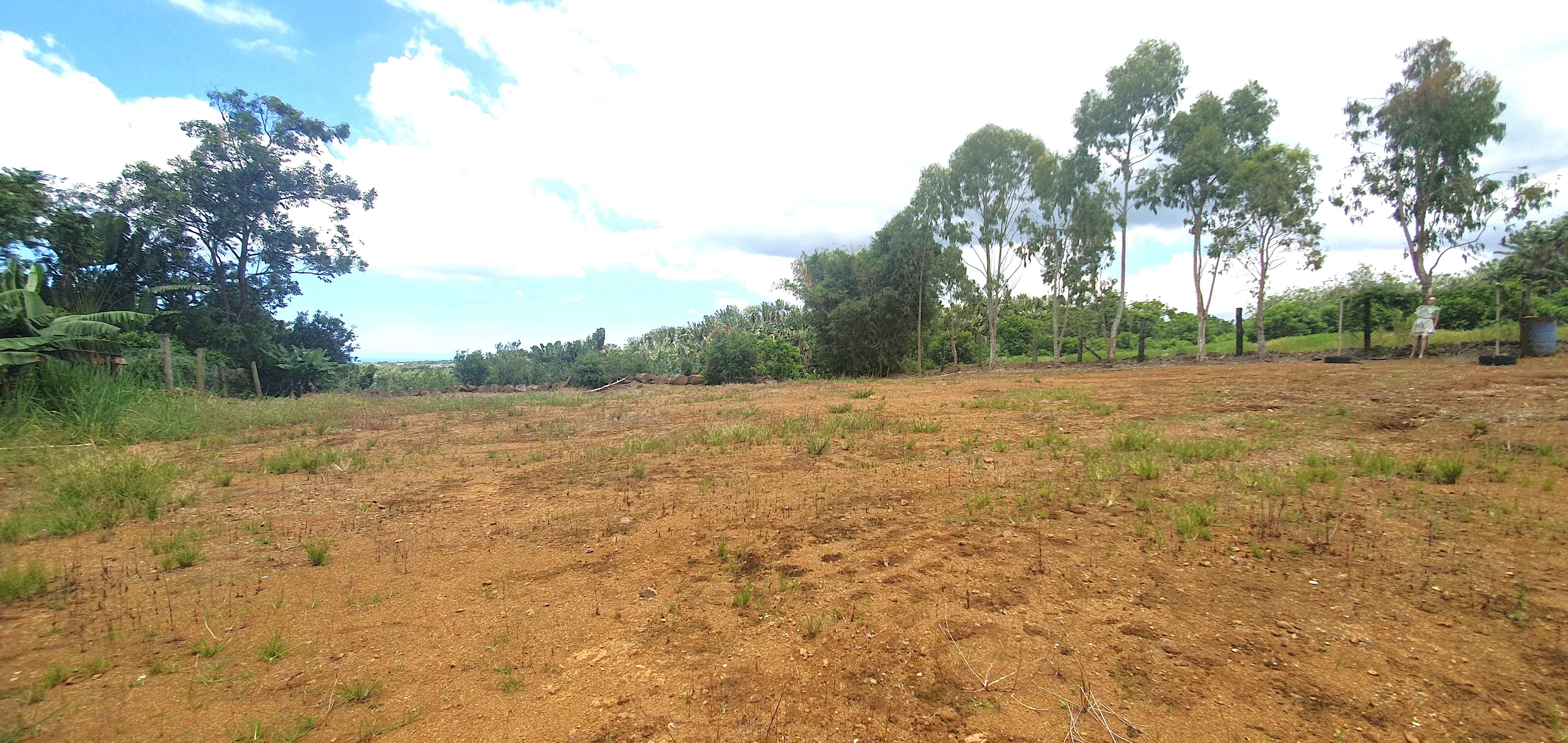 TERRAIN AGRICOLE DE 109 PERCHES A VENDRE A BEAU CLIMAT